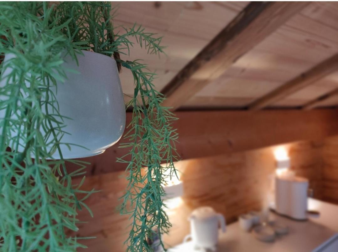 Chambre Boille A Lait Entremont Εξωτερικό φωτογραφία