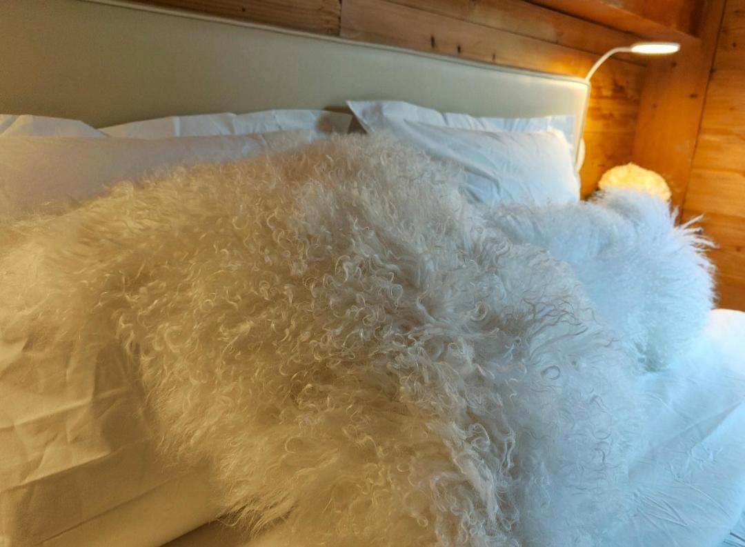 Chambre Boille A Lait Entremont Εξωτερικό φωτογραφία
